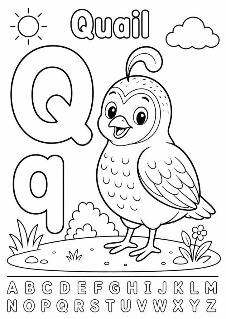 letter q quail coloring page for toddlers simple